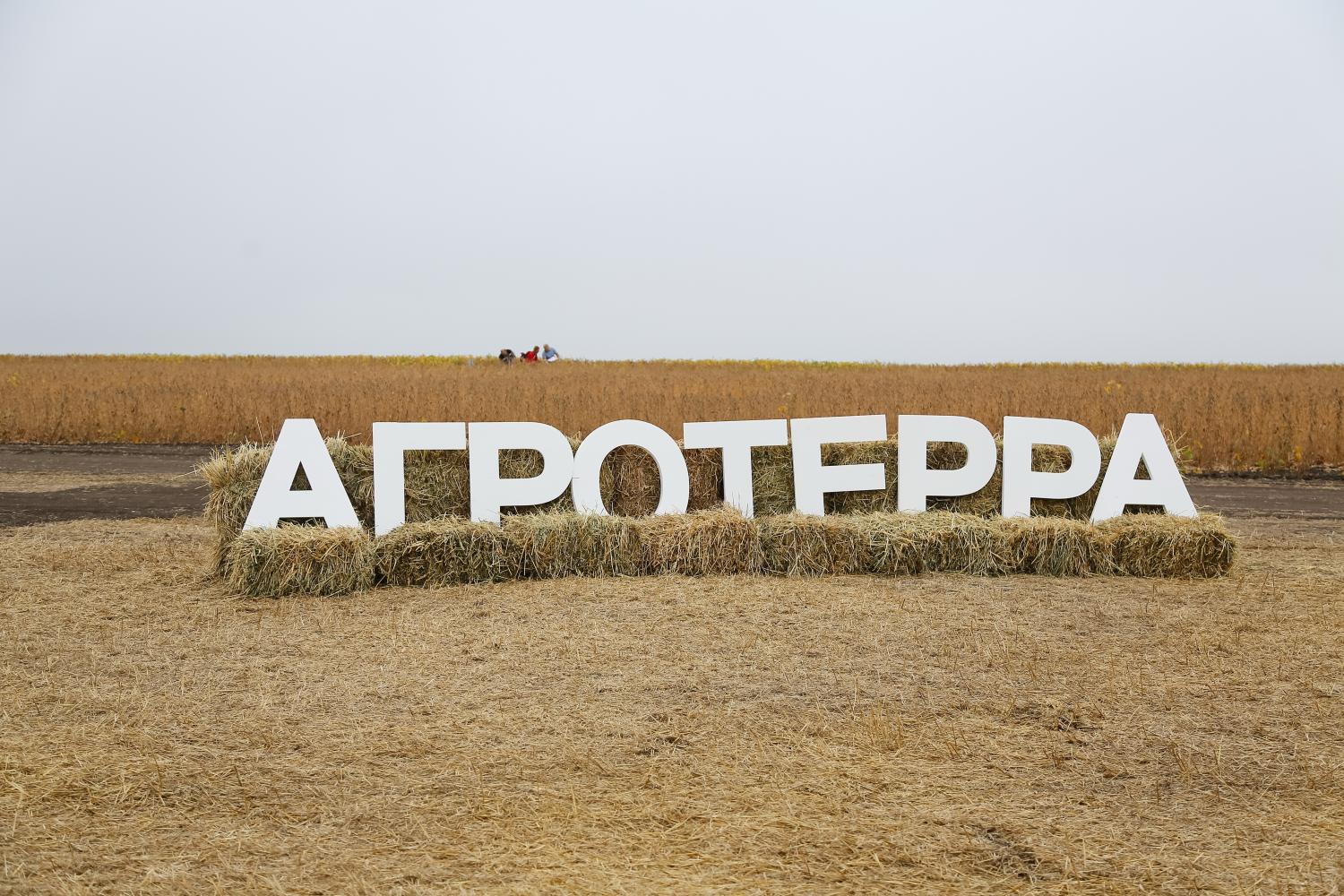 Передача агрохолдинга «АгроТерра» в управление государству